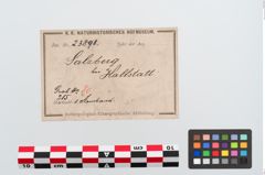 Etiketten zu Bronzebuckelarmreif (NHMW-PRAE-023898)